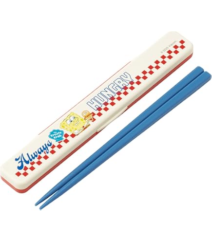 Amazon｜スケーター(Skater) 箸 箸箱セット 大人用 抗菌 18cm